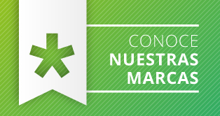 Conoce nuestras marcas